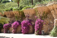 Barcelona_Park_Guell_Terrace_Wisteria