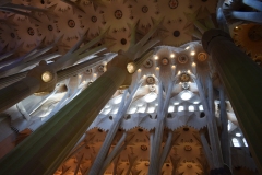 Barcelona_Sagreda_Familia_Vaulted_2