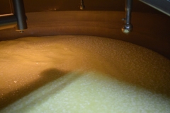 A giant vat of gently heated sheep's milk causes it to coagulate.