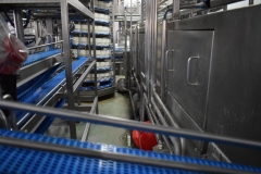 This conveyor took the plastic wheel molds full of compressed curds to a salt bath.