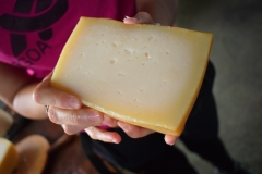 Properly made, the outer layer will be golden in hue, and the inner portion creamy looking with bacterial bubble flaws. Round bubbles are considered a disqualifier in judging.