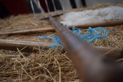 I took this shot randomly, but it ended up catching these two flies who alighted upon the pitchfork.