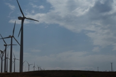 Next we traveled to Marques de Riscal. On the way we learned Spain has over 21,000 windmills.