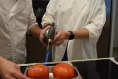 Torching tomatoes.