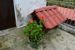 This dog house FTW. We had wondered if the roofs were actually still terra cotta, but this proved they were just colored plastic.