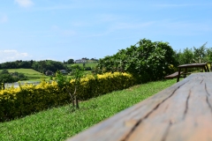 On the picnic bench.