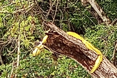IMG_20240820_093957076