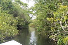IMG_20240820_134602774