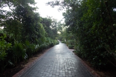 Brick pathway to paradise.