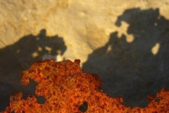 Baia di Ieranto. Shadow play at the mine ruins.