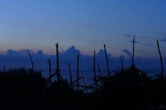 Vineyard against turbulent skies.