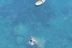 From the cliffs of Positano.