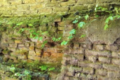 IMG_20241012_120106777