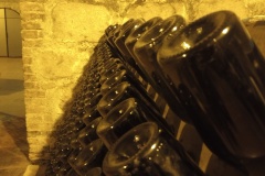 IMG_20241014_100503597