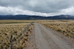 IMG_20241015_124448353