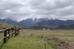 IMG_20241015_144937700